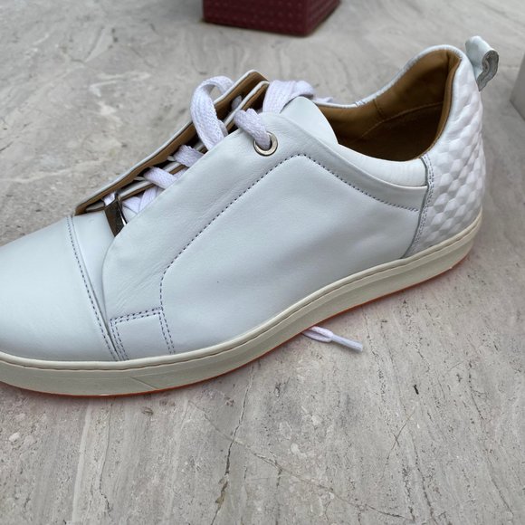 Royal Albartross - Picture 5 of 11